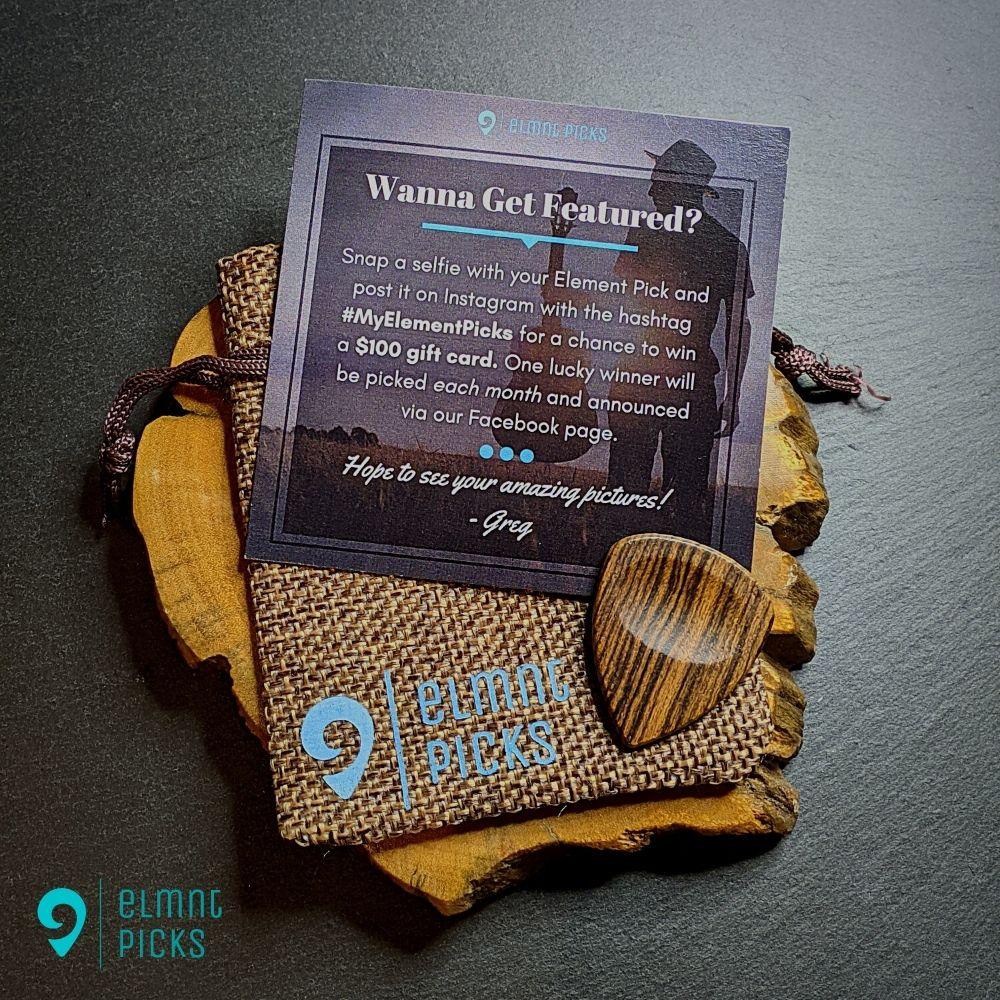 Hand-Crafted Black Palm Wood Plectrum