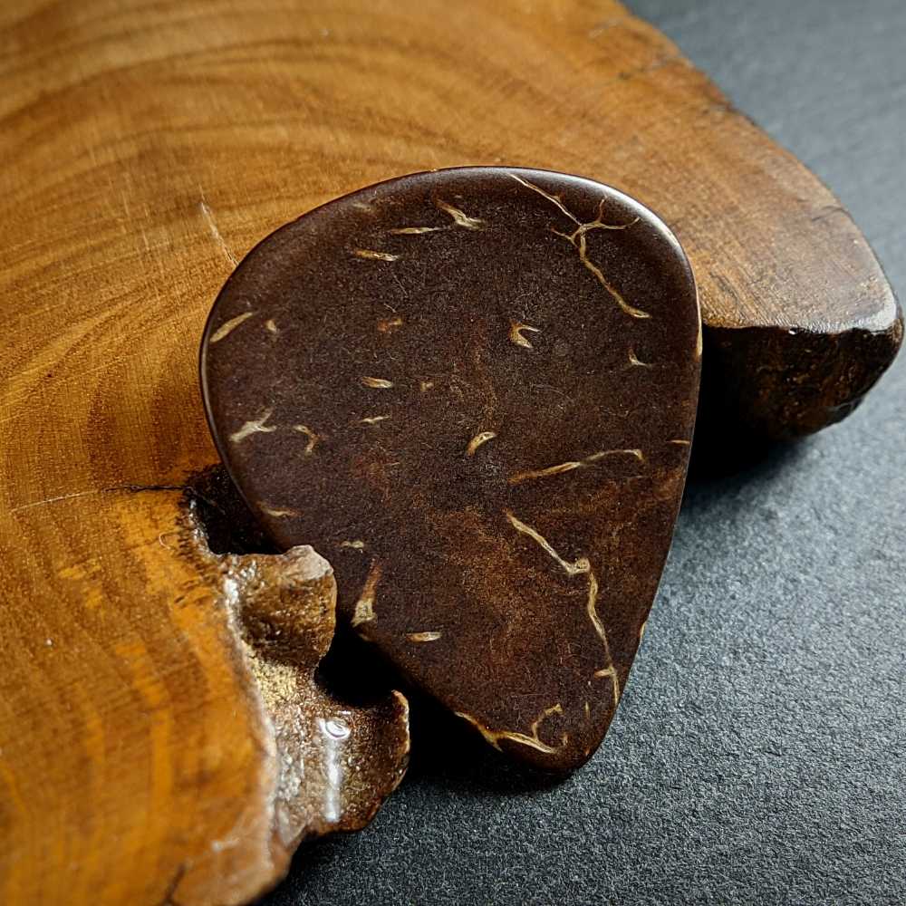 Natural Coconut Shell Plectrum