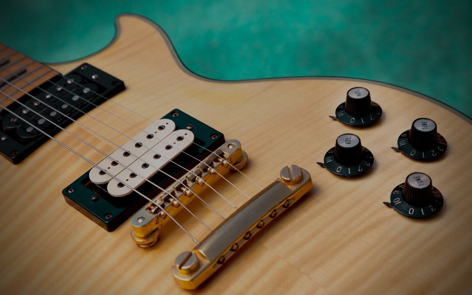 Element Picks Favorites