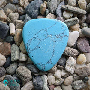 Hand-Carved Turquoise Howlite Plectrum